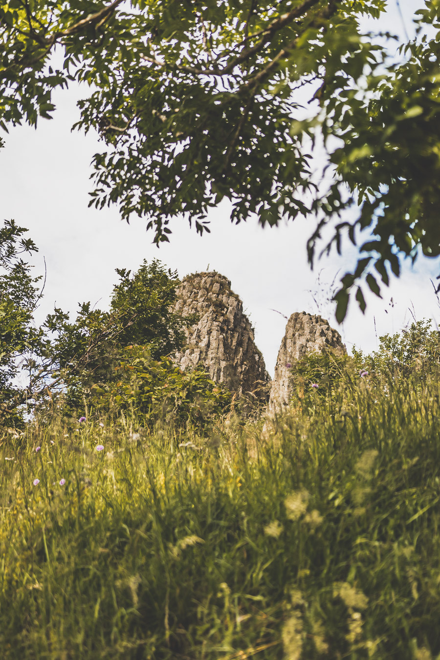 Randonnée sur l'Aubrac