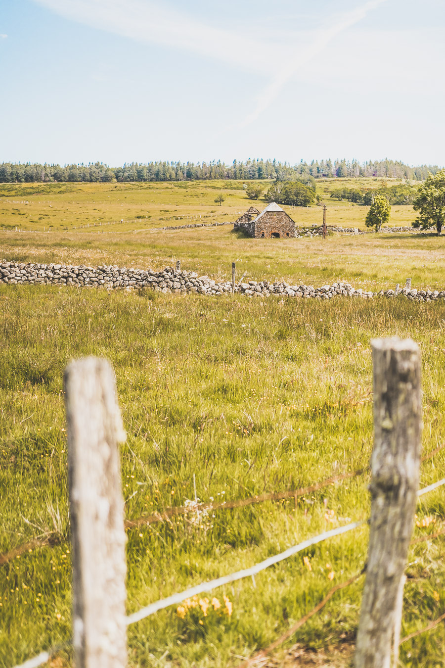 Randonnée sur l'Aubrac