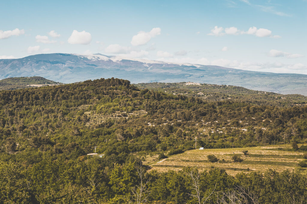 Visiter le Vaucluse