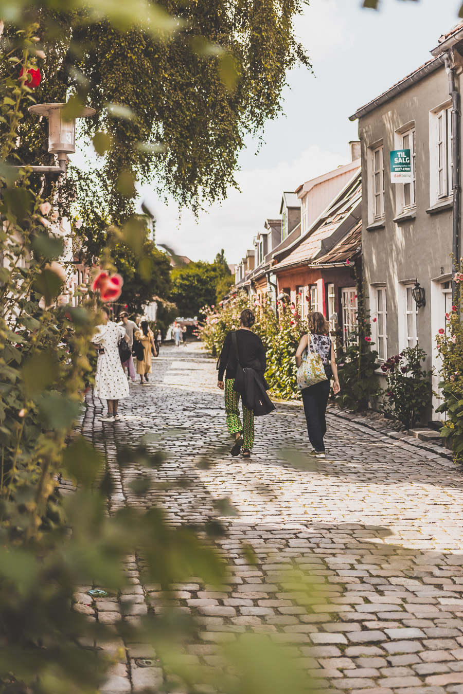 Møllestien street, la rue la plus jolie d’Aarhus
