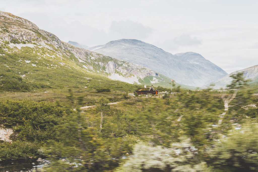 nature norvégienne