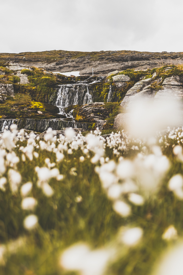 Aurlandsfjellet : voyage en Norvège