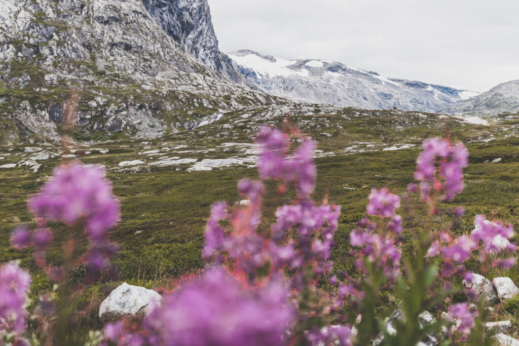 Geirangervegen