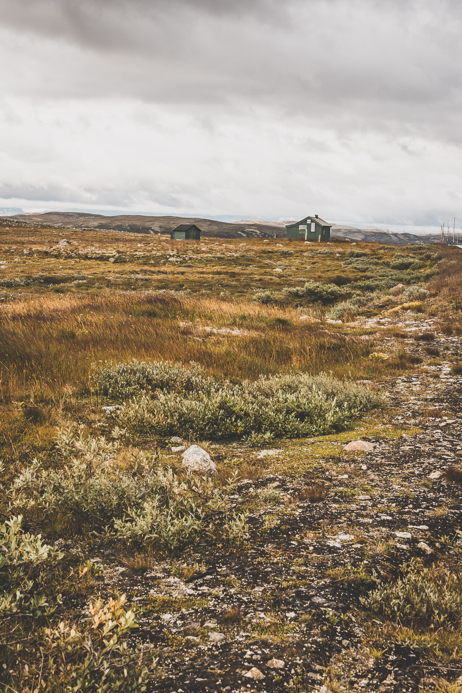 Hardangervidda