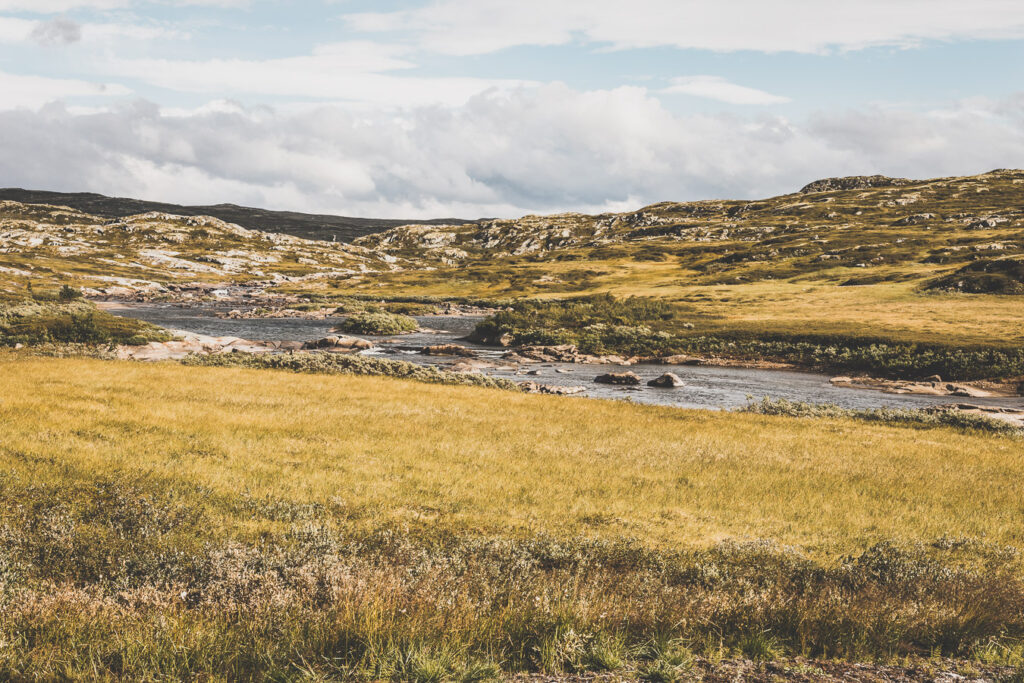 Hardangervidda