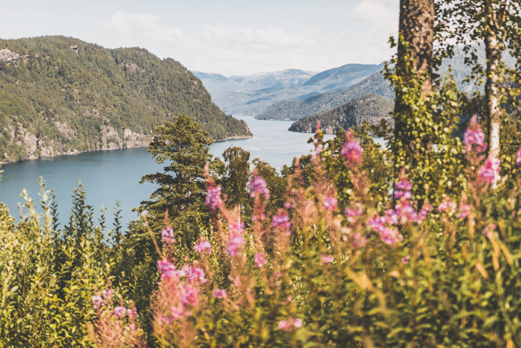 panorama fjord