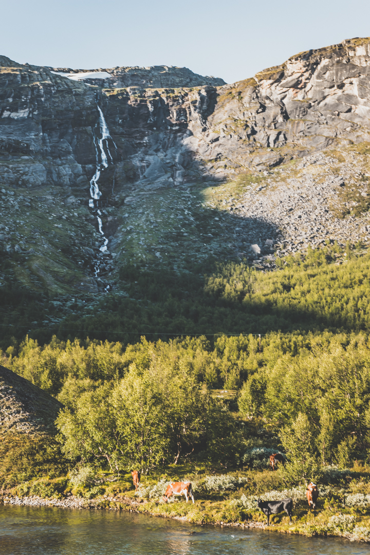 Road trip : route panoramique Sognefjell