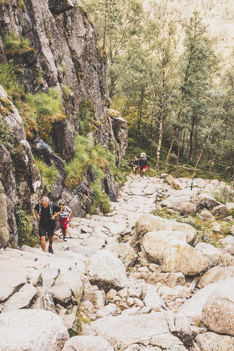 Tu souhaites organiser un road trip dans la région des fjords de Norvège ? Suis notre guide et trouve toutes les informations utiles. #norvège #vacances Voyage en Europe / Vacances Europe / Destinations de voyages / Bucket list travel / Idées de voyages / Europe travel / Scandinavie paysage / road trip norvege sud / Scandinavia / norvege paysage / norvege voyage / norvege aesthetic / Norvège fjord / road trip norvege été / road trip en norvege / road trip van norvege / norvege van / norvege sud