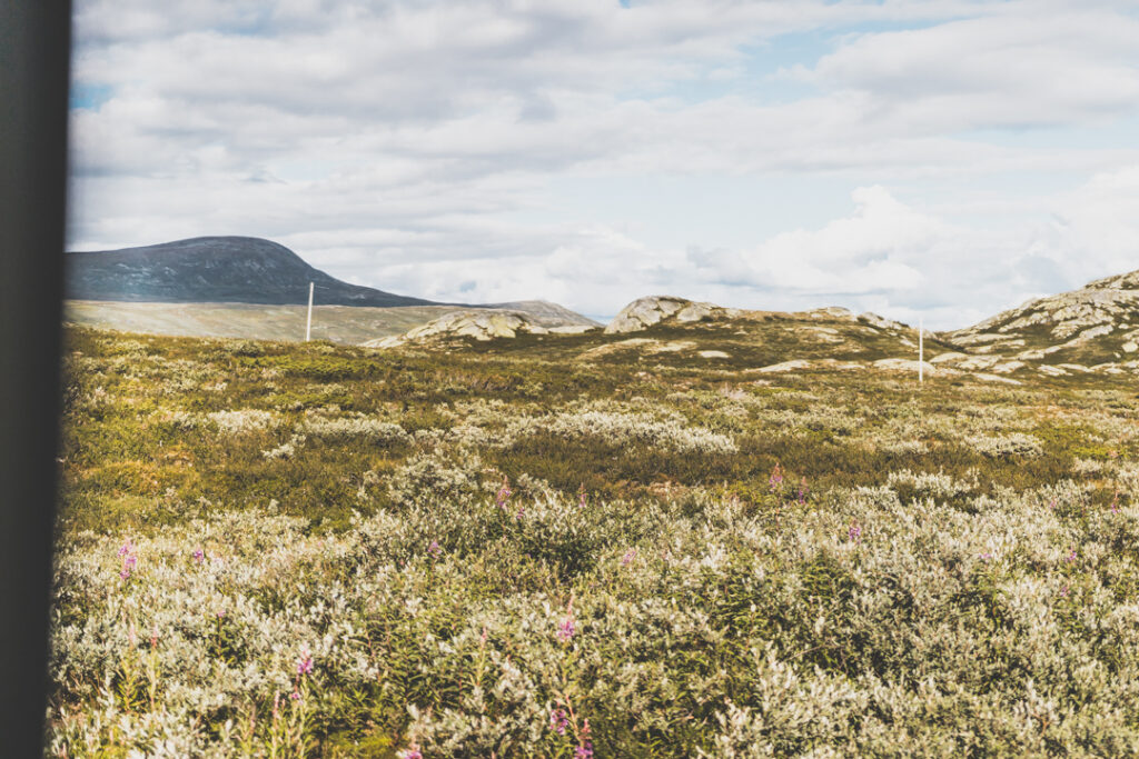 route panoramique Valdresflye