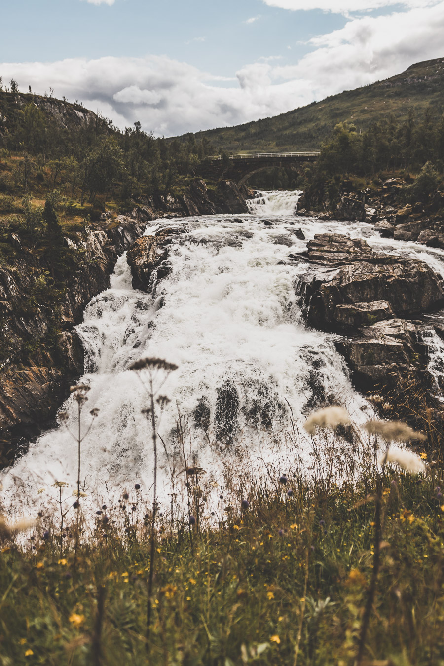 Tu souhaites organiser un road trip dans la région des fjords de Norvège ? Suis notre guide et trouve toutes les informations utiles. #norvège #vacances Voyage en Europe / Vacances Europe / Destinations de voyages / Bucket list travel / Idées de voyages / Europe travel / Scandinavie paysage / road trip norvege sud / Scandinavia / norvege paysage / norvege voyage / norvege aesthetic / Norvège fjord / road trip norvege été / road trip en norvege / road trip van norvege / norvege van / norvege sud