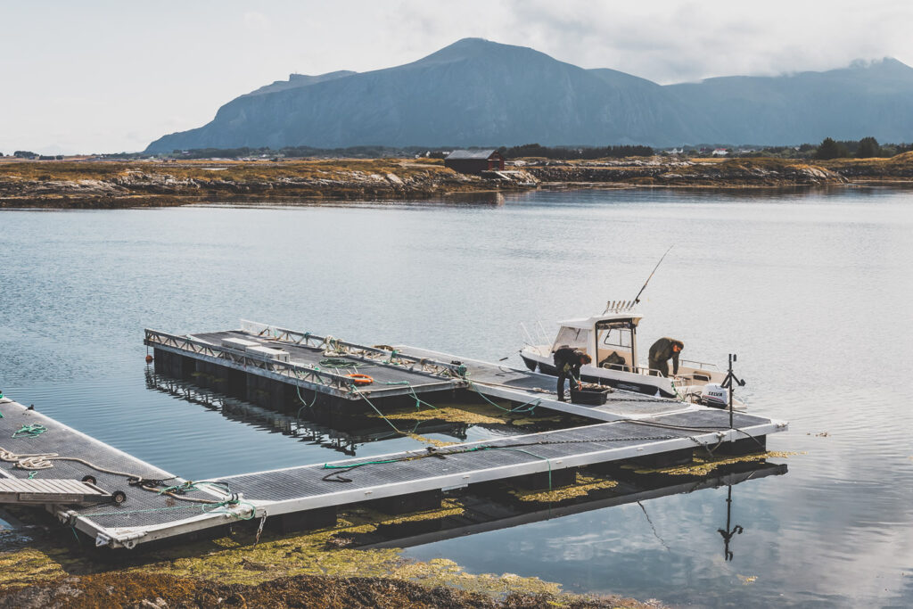 route de l'Atlantique / Atlantic Ocean road / Atlanterhavsvein