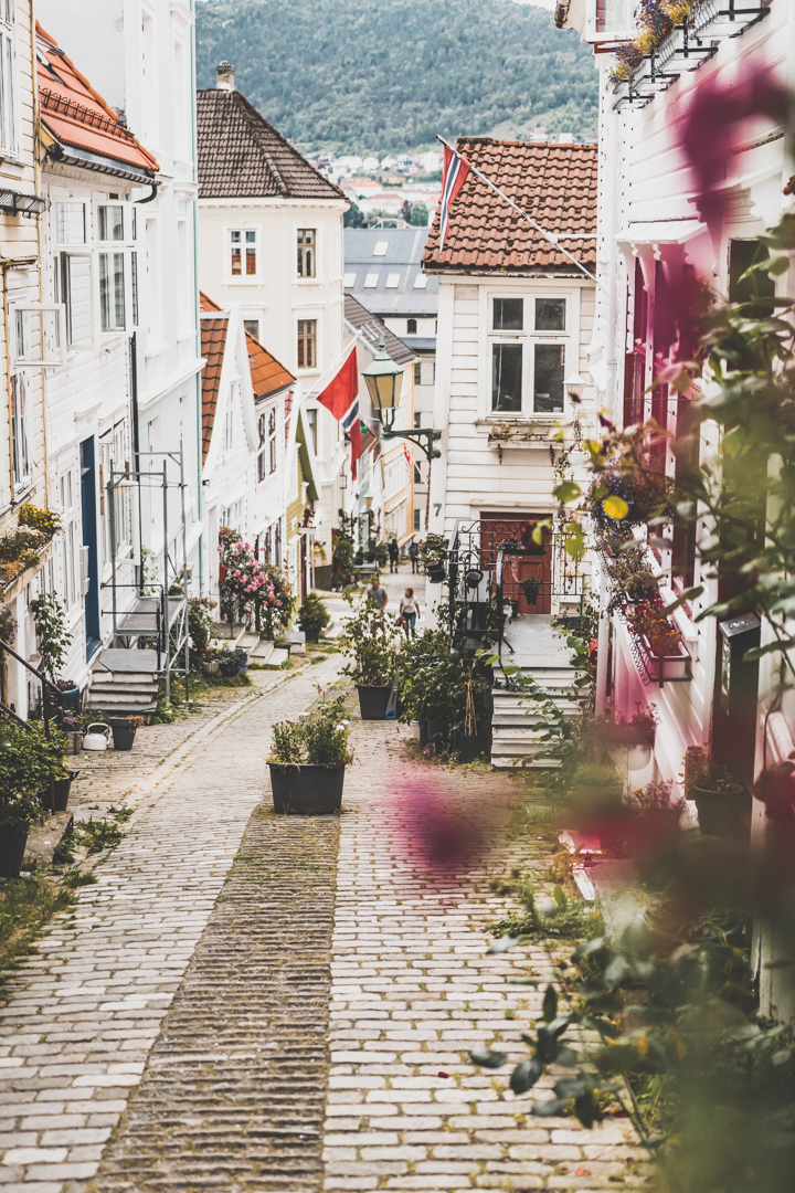 Maisons blanches à Bergen en Norvège