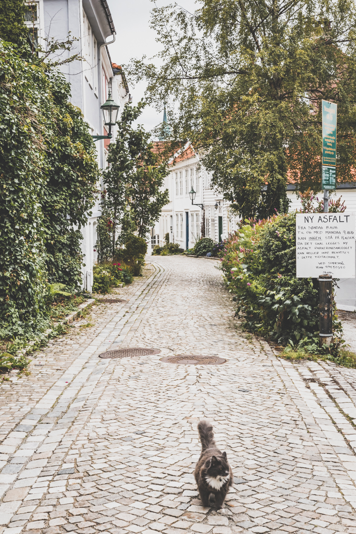 Nordnes à Bergen