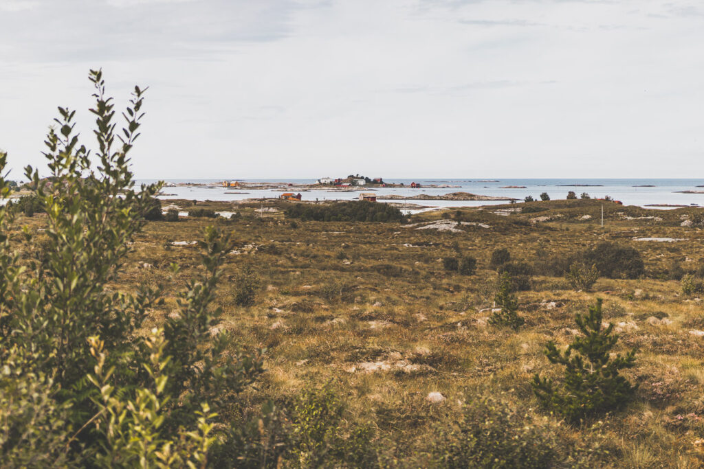 Tu souhaites découvrir la façade atlantique des fjords de Norvège? Au programme : Ålesund, la route de l'Atlantique, Runde, l'île de Vågsøy. #norvège #vacances Voyage en Europe / Vacances Europe / Destinations de voyages / Bucket list travel / Idées de voyages / Europe travel / Scandinavie paysage / road trip norvege sud / Scandinavia / norvege paysage / norvege voyage / norvege aesthetic / Norvège fjord / road trip norvege été / road trip en norvege / road trip van norvege / norvege van