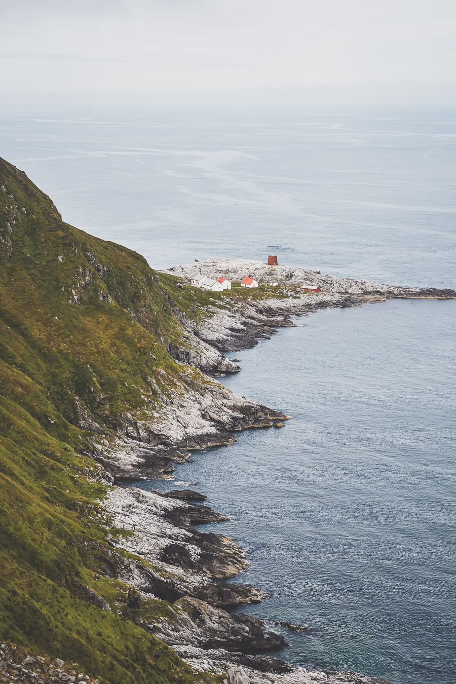 Visiter Runde au coeur des fjords de Norvège pour observer les oiseaux