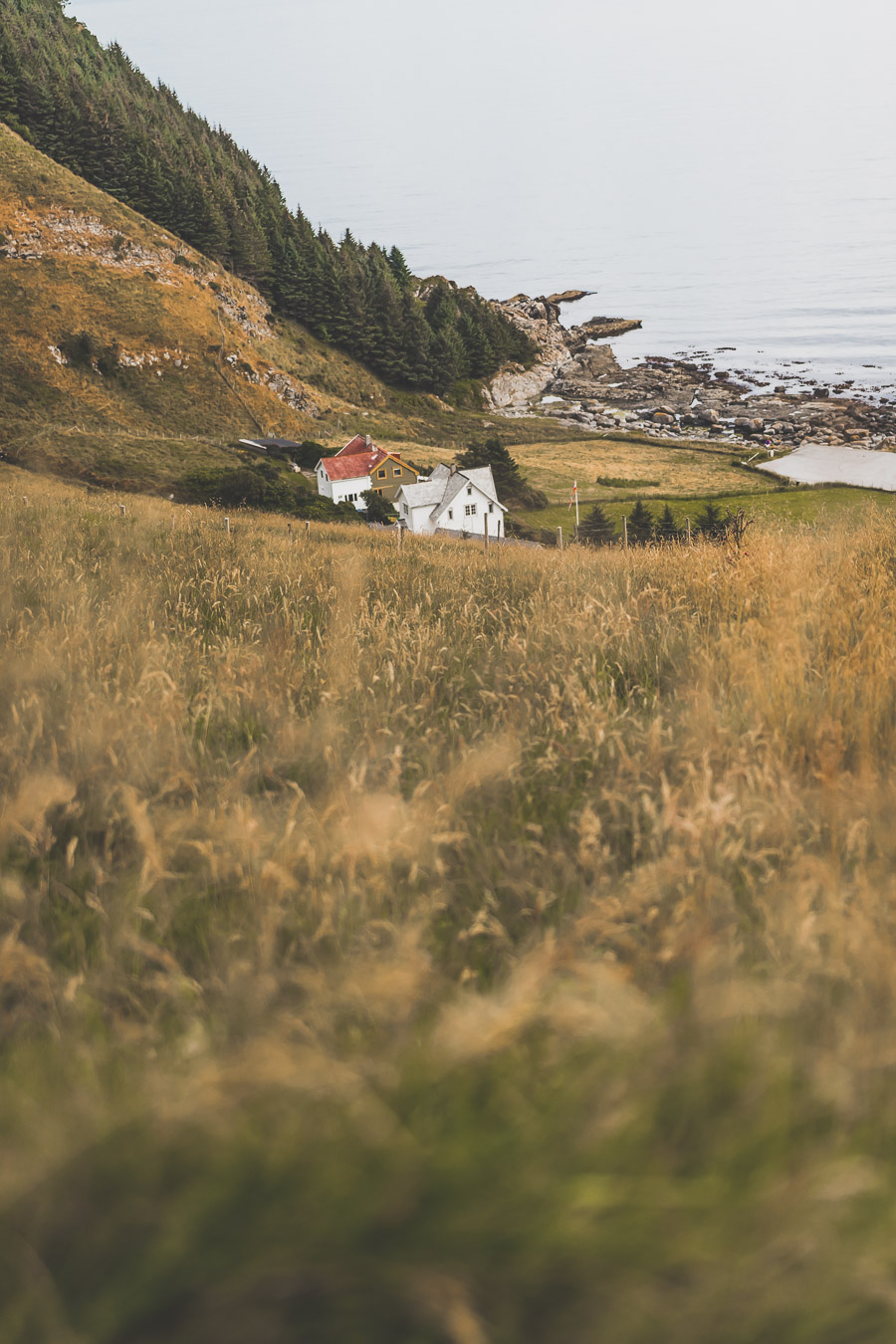 Randonnée sur l'île de Runde