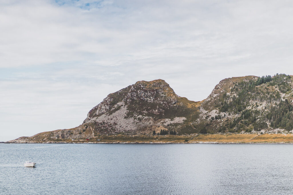 Visiter Runde au coeur des fjords de Norvège pour observer les oiseaux