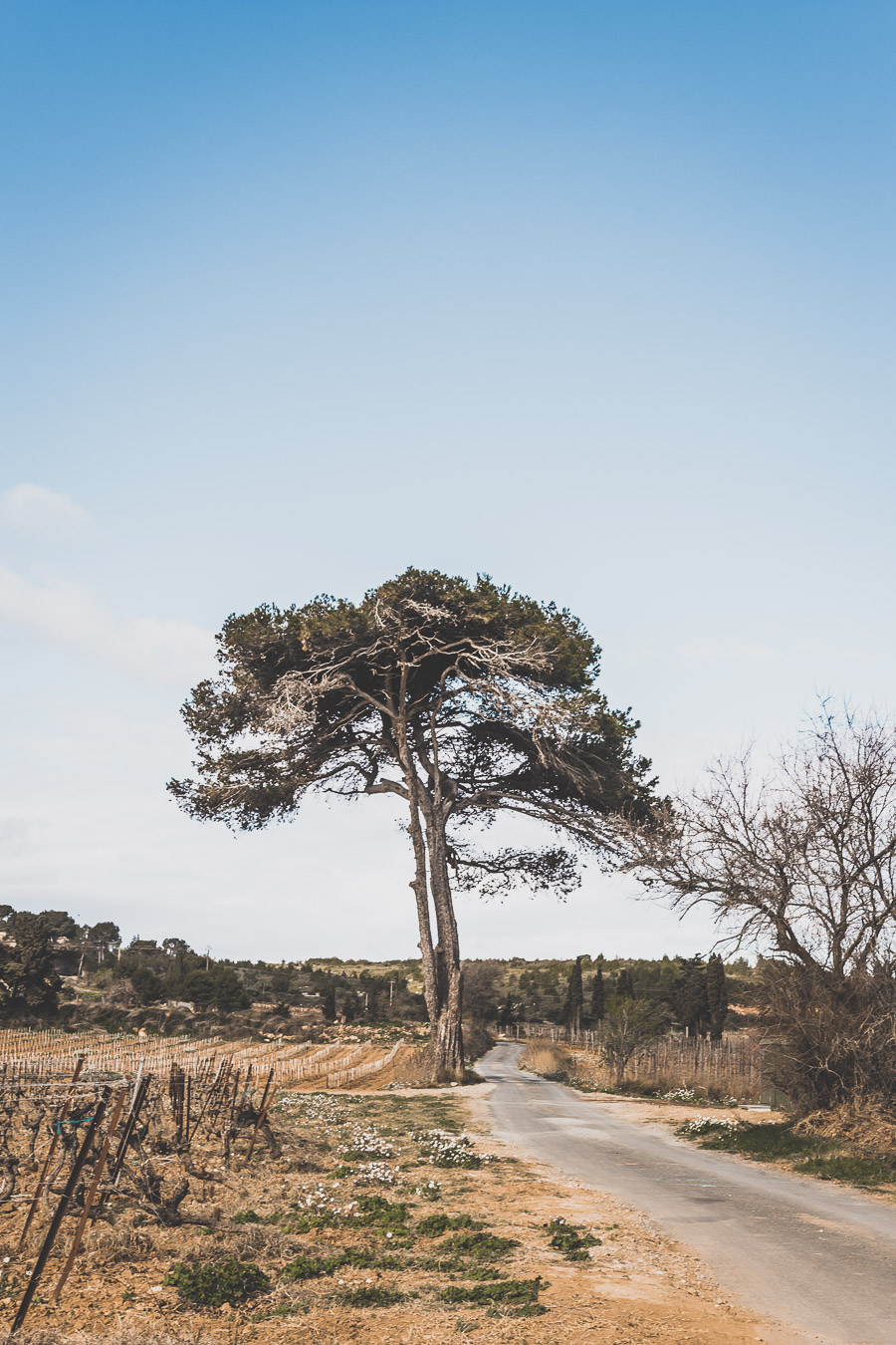 Vous planifiez un voyage en Occitanie et plus particulièrement de visiter l'Aude ? Jetez un œil à notre article ! #audetourisme #mer #vacances #été #summer #france #occitanie / Voyage en France / Vacances en France / Vacances à la mer / Tourisme Occitanie / Pyrénées / Aude France / Carcassonne / Road trip en France / Vacances a la mer / Vacances a la montagne / Vacances à la plage / Tourisme en France / Destinations de voyages / Destination voyage / Destinations magnifiques / Europe