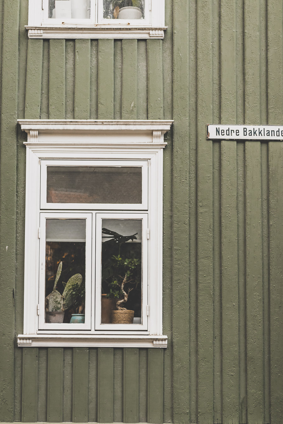 Bakklandet et Gamle Bybro : Voyage en Norvège du Nord à Trondheim