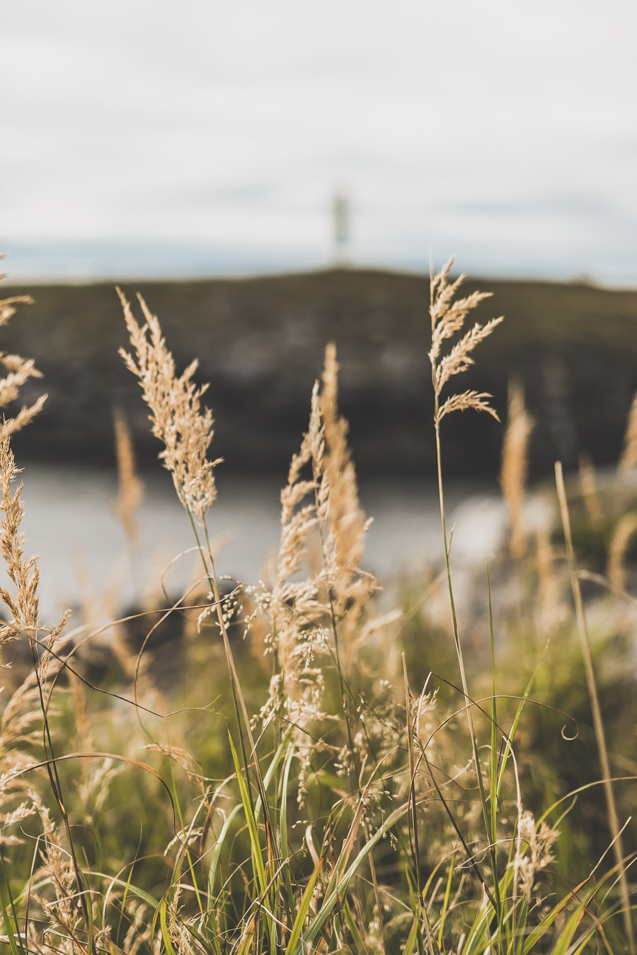 Tu souhaites faire un voyage en Norvège du Nord ? Découvre l'itinéraire de notre voyage en van (Tromso, Lofoten, Senja, Trondheim, Cap Nord) #norvège #vacances Voyage en Europe / Vacances Europe / Destinations de voyages / Bucket list travel / Idées de voyages / Europe travel / Scandinavie paysage / road trip norvege sud / Scandinavia / norvege paysage / norvege voyage / norvege aesthetic / Norvège du Nord / road trip norvege été / road trip en norvege / road trip van norvege / norvege van