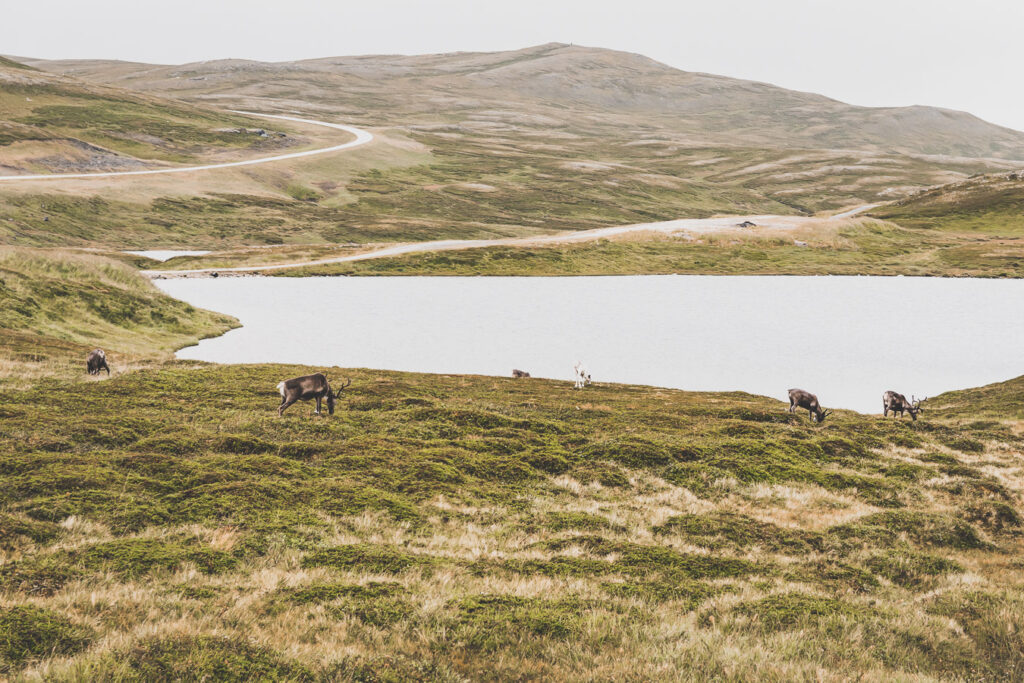 Cap Nord en Norvège