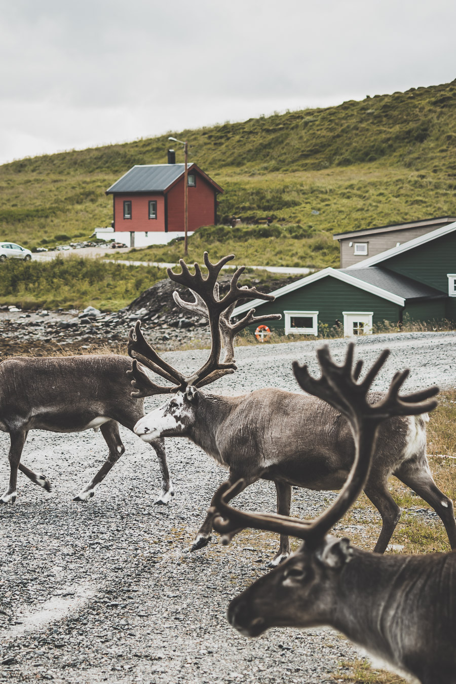 Cap Nord en Norvège