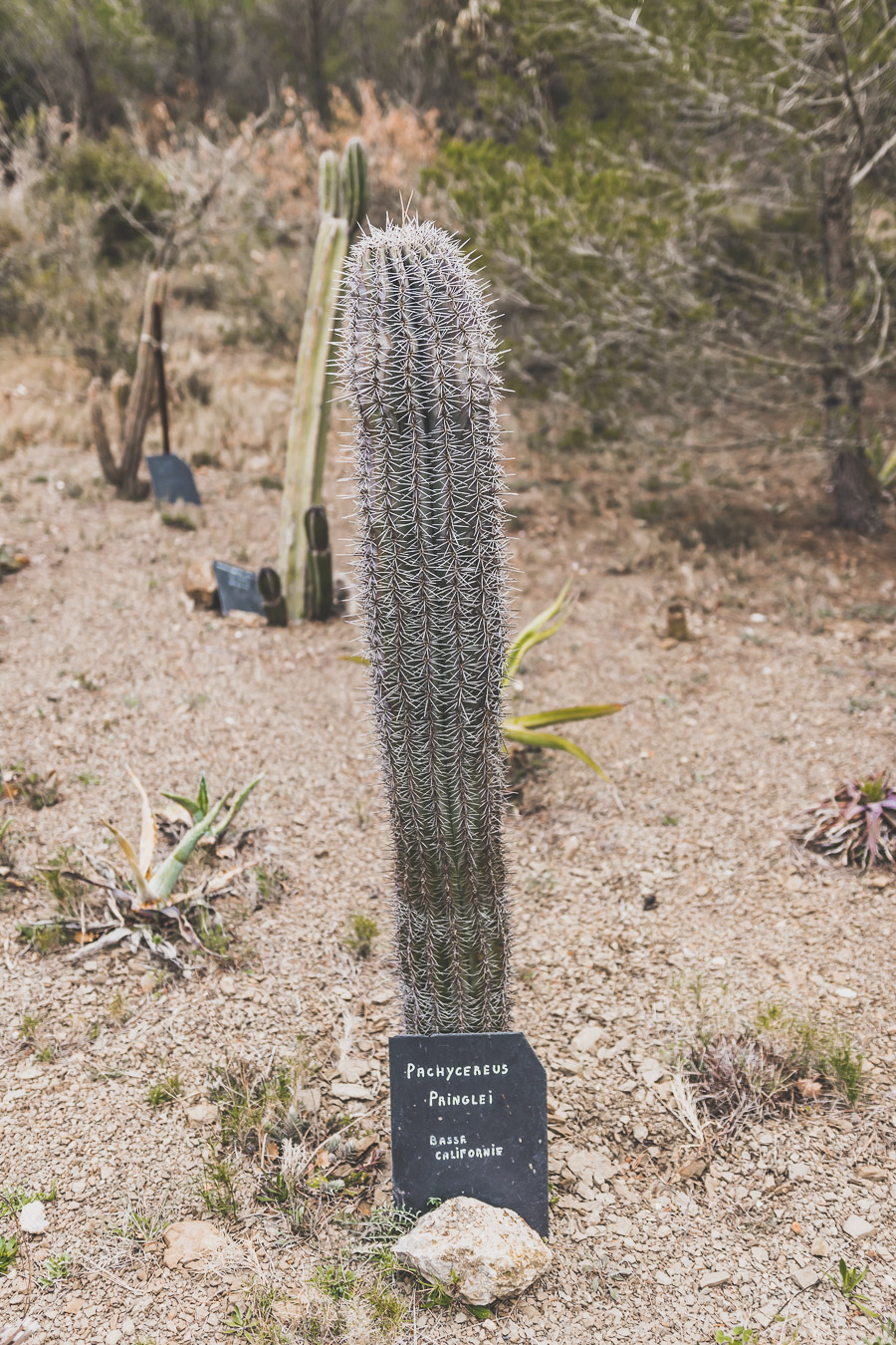 Jardin botanique de Foncaude