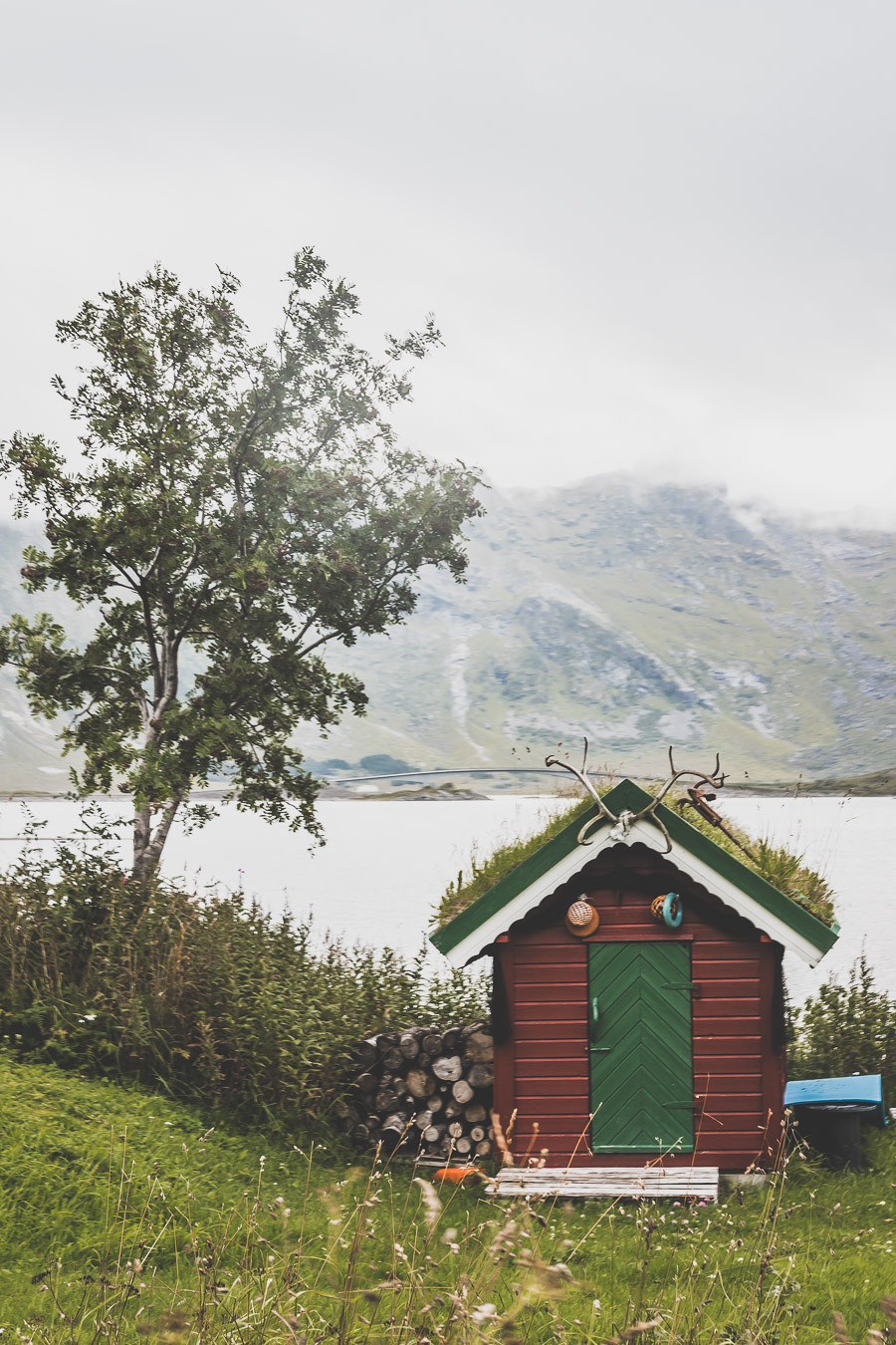 Tu souhaites découvrir les Iles Lofoten en Norvège ? Découvre l'itinéraire de notre voyage en van (Reine, Nusfjord, belles plages) #norvège #vacances Voyage en Europe / Vacances Europe / Destinations de voyages / Bucket list travel / Idées de voyages / Europe travel / Scandinavie paysage / road trip norvege sud / Scandinavia / norvege paysage / norvege voyage / norvege aesthetic / Norvège fjord / road trip norvege été / road trip en norvege / road trip van norvege / norvege van