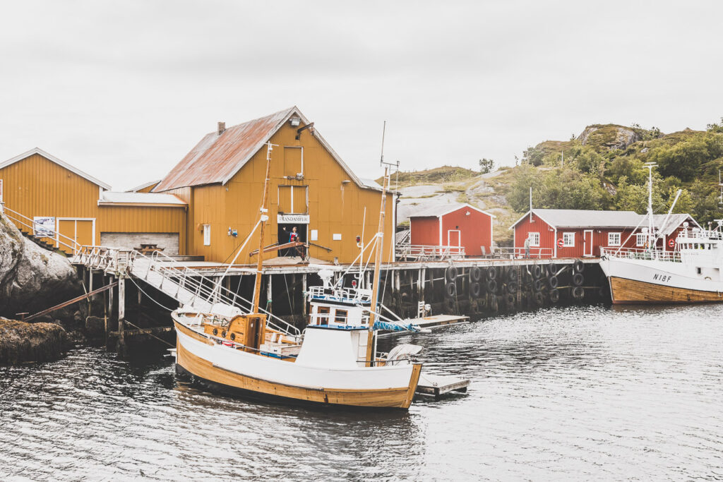 Tu souhaites découvrir les Iles Lofoten en Norvège ? Découvre l'itinéraire de notre voyage en van (Reine, Nusfjord, belles plages) #norvège #vacances Voyage en Europe / Vacances Europe / Destinations de voyages / Bucket list travel / Idées de voyages / Europe travel / Scandinavie paysage / road trip norvege sud / Scandinavia / norvege paysage / norvege voyage / norvege aesthetic / Norvège fjord / road trip norvege été / road trip en norvege / road trip van norvege / norvege van