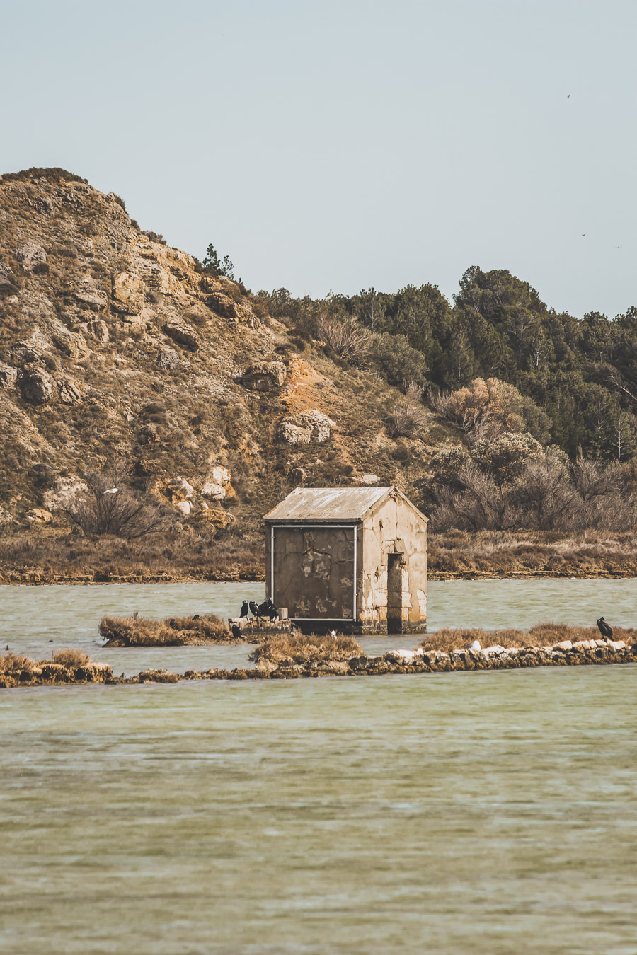 Vous planifiez un voyage en Occitanie et plus particulièrement de visiter l'Aude ? Jetez un œil à notre article ! #audetourisme #mer #vacances #été #summer #france #occitanie / Voyage en France / Vacances en France / Vacances à la mer / Tourisme Occitanie / Pyrénées / Aude France / Carcassonne / Road trip en France / Vacances a la mer / Vacances a la montagne / Vacances à la plage / Tourisme en France / Destinations de voyages / Destination voyage / Destinations magnifiques / Europe