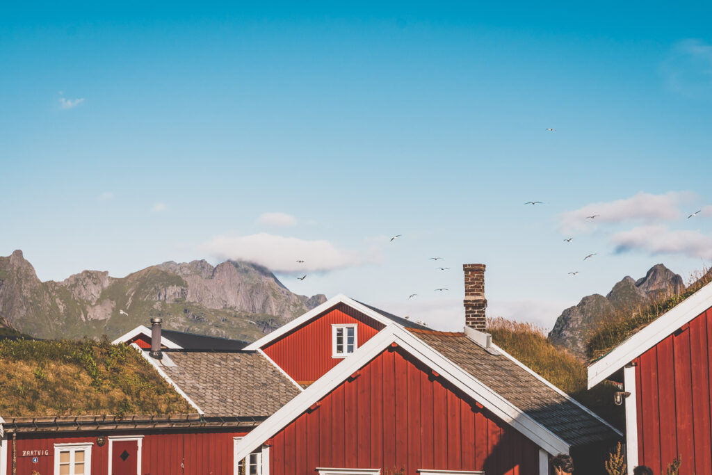 Iles Lofoten : itinéraire pour un road trip en van de 3 semaines en Norvège