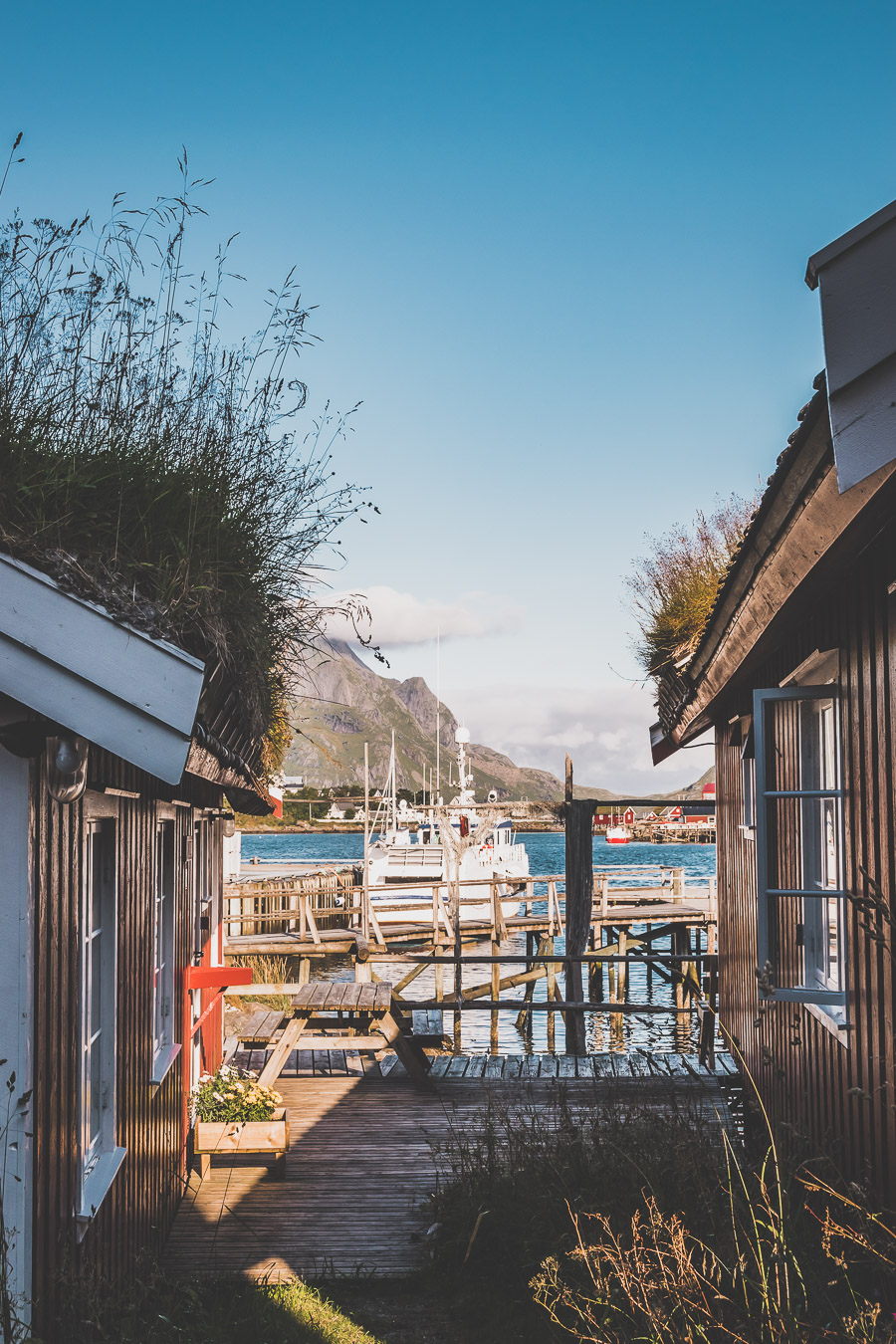 Tu souhaites découvrir les Iles Lofoten en Norvège ? Découvre l'itinéraire de notre voyage en van (Reine, Nusfjord, belles plages) #norvège #vacances Voyage en Europe / Vacances Europe / Destinations de voyages / Bucket list travel / Idées de voyages / Europe travel / Scandinavie paysage / road trip norvege sud / Scandinavia / norvege paysage / norvege voyage / norvege aesthetic / Norvège fjord / road trip norvege été / road trip en norvege / road trip van norvege / norvege van