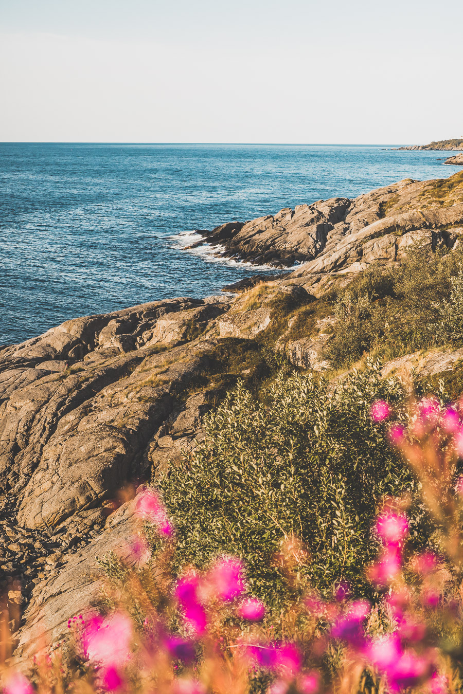 Tu souhaites découvrir les Iles Lofoten en Norvège ? Découvre l'itinéraire de notre voyage en van (Reine, Nusfjord, belles plages) #norvège #vacances Voyage en Europe / Vacances Europe / Destinations de voyages / Bucket list travel / Idées de voyages / Europe travel / Scandinavie paysage / road trip norvege sud / Scandinavia / norvege paysage / norvege voyage / norvege aesthetic / Norvège fjord / road trip norvege été / road trip en norvege / road trip van norvege / norvege van