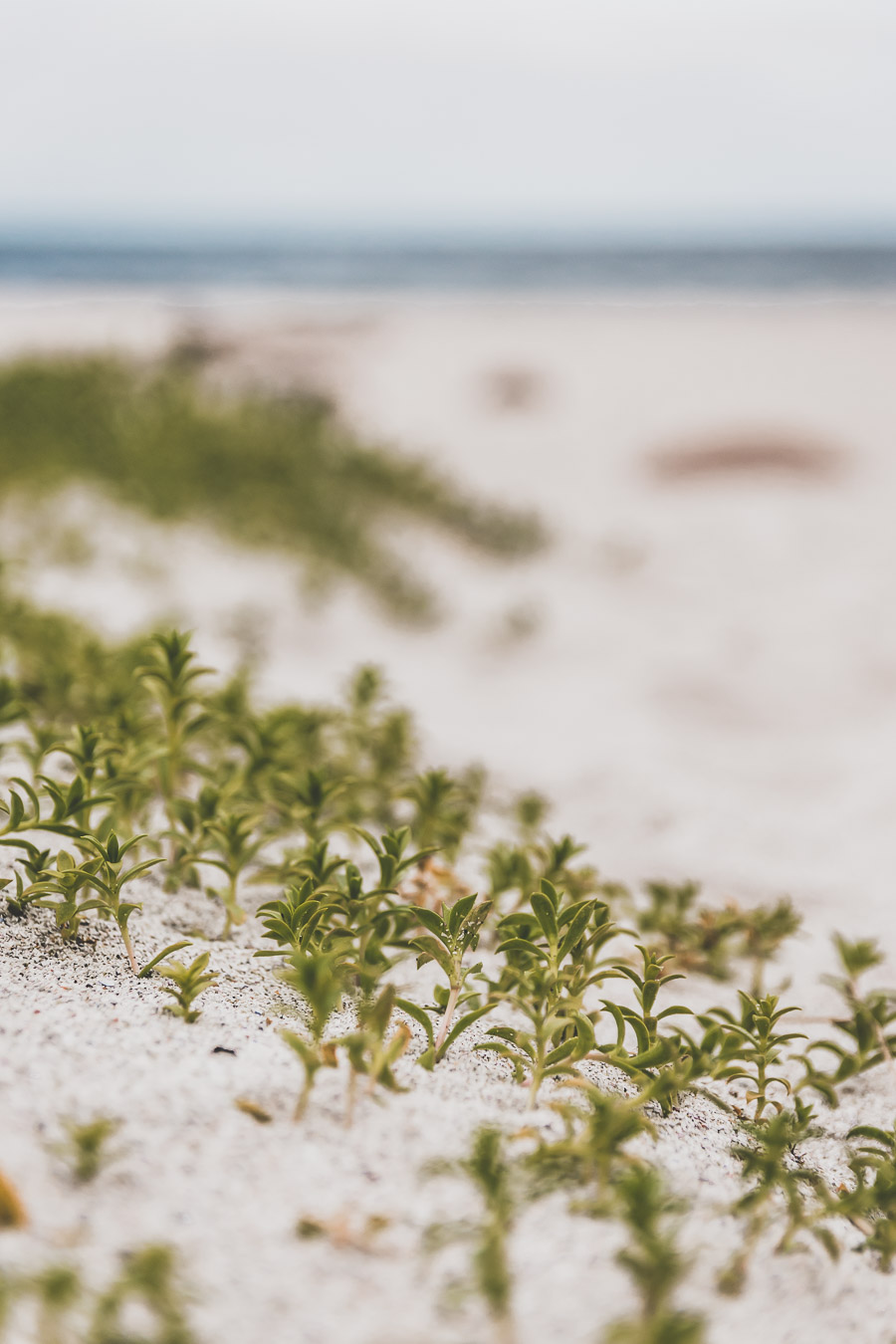 Storsandnes beach