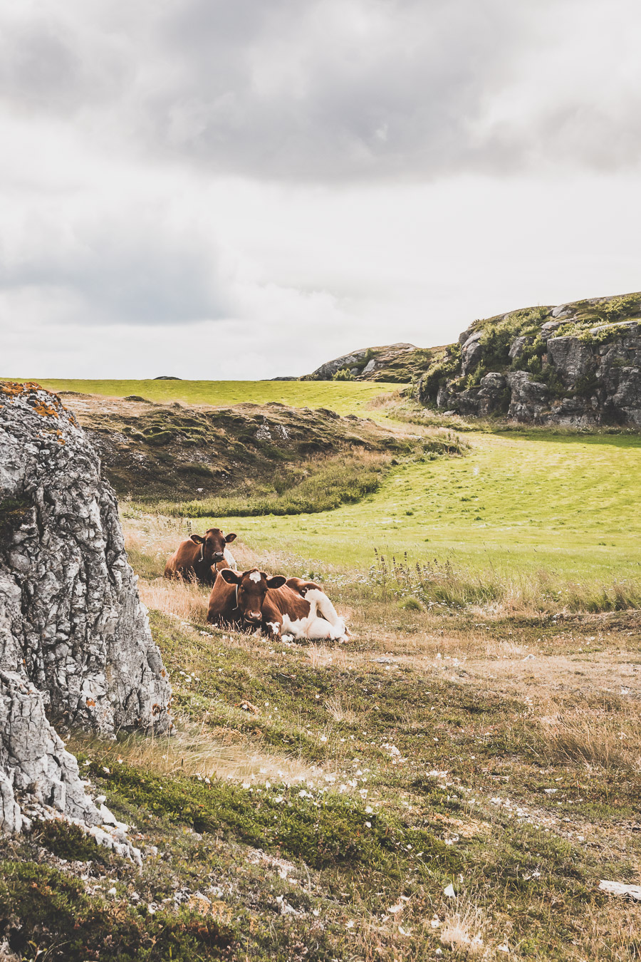 Tu souhaites faire un voyage en Norvège du Nord ? Découvre l'itinéraire de notre voyage en van (Tromso, Lofoten, Senja, Trondheim, Cap Nord) #norvège #vacances Voyage en Europe / Vacances Europe / Destinations de voyages / Bucket list travel / Idées de voyages / Europe travel / Scandinavie paysage / road trip norvege sud / Scandinavia / norvege paysage / norvege voyage / norvege aesthetic / Norvège du Nord / road trip norvege été / road trip en norvege / road trip van norvege / norvege van