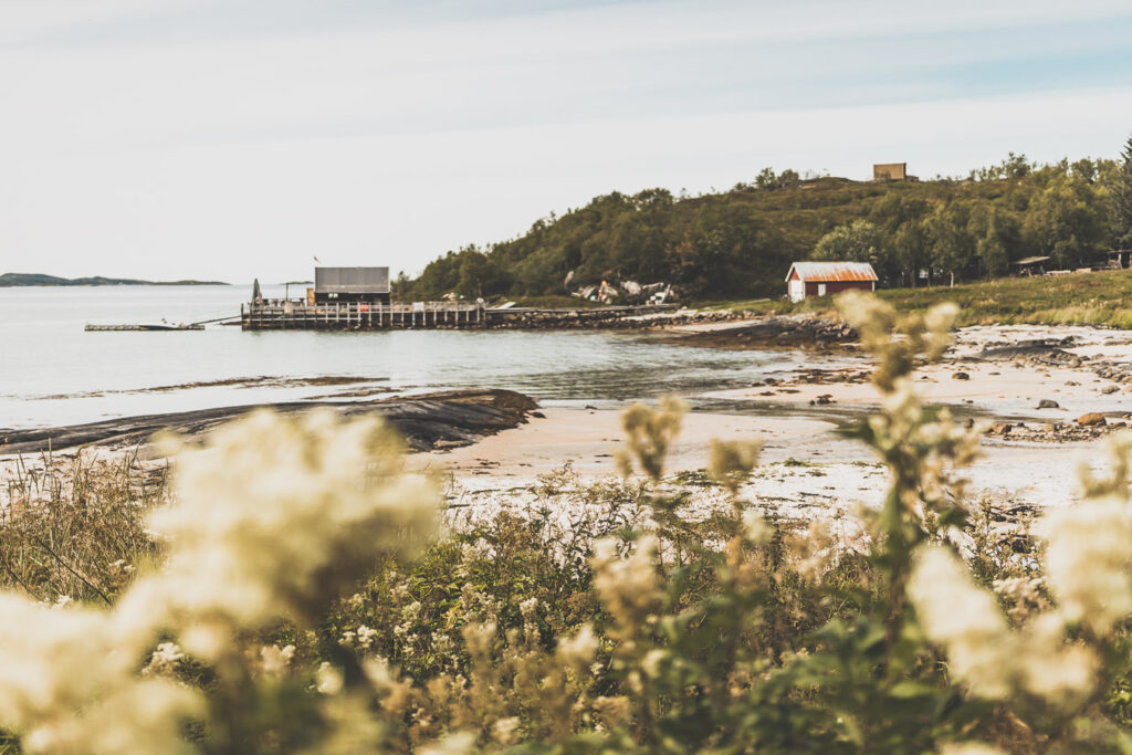 route 86 découverte de l'île de Senja