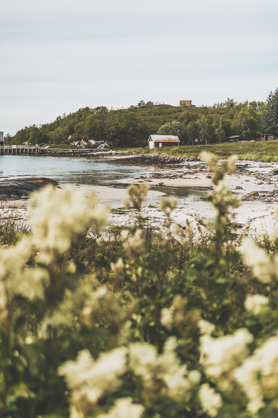 Tu souhaites faire un voyage en Norvège du Nord ? Découvre l'itinéraire de notre voyage en van (Tromso, Lofoten, Senja, Trondheim, Cap Nord) #norvège #vacances Voyage en Europe / Vacances Europe / Destinations de voyages / Bucket list travel / Idées de voyages / Europe travel / Scandinavie paysage / road trip norvege sud / Scandinavia / norvege paysage / norvege voyage / norvege aesthetic / Norvège du Nord / road trip norvege été / road trip en norvege / road trip van norvege / norvege van