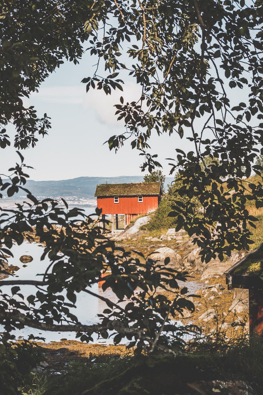 Saltstraumen - Bodø