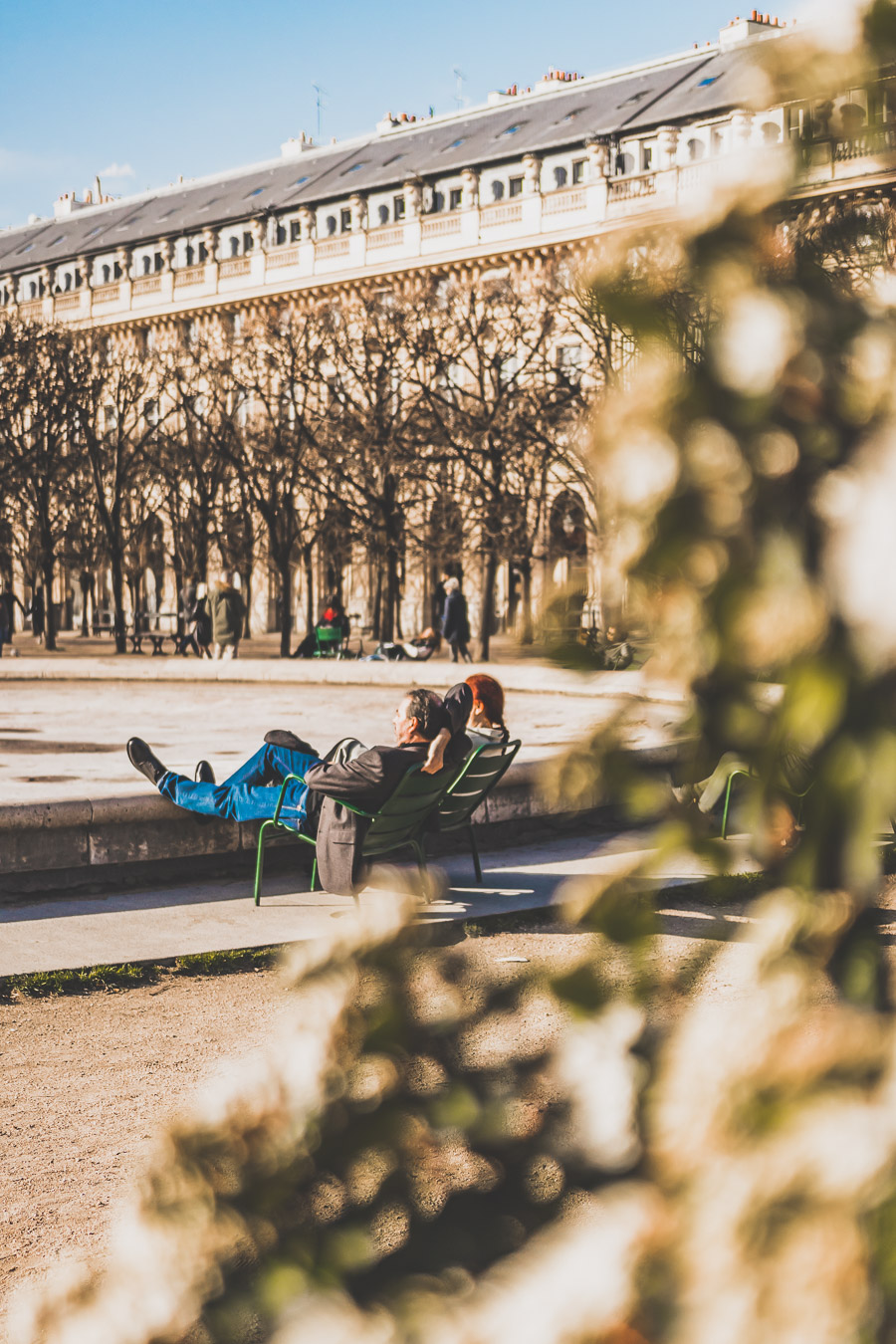 Que faire dans le 1er arrondissement de Paris ? Jardin du Palais-royal