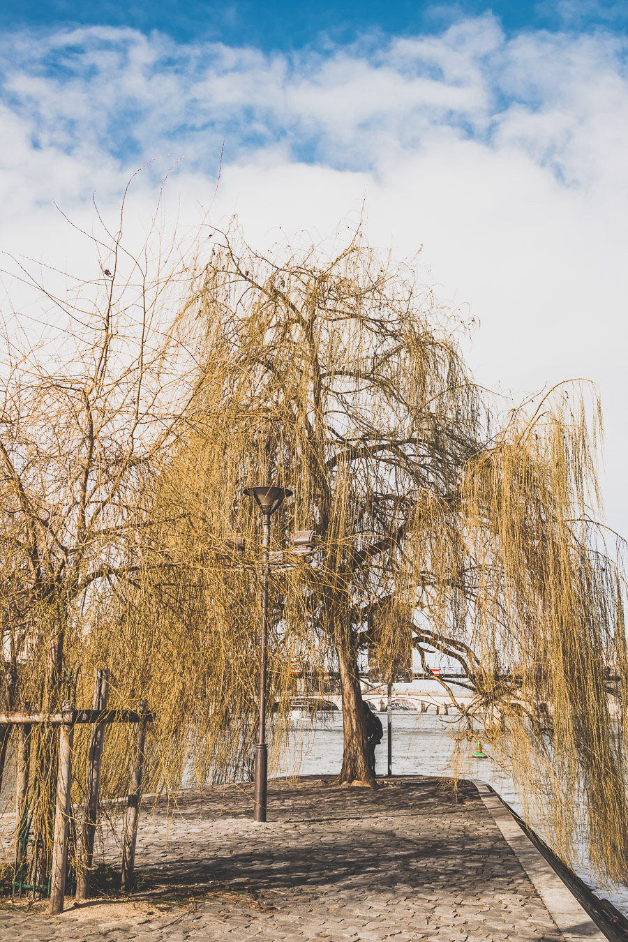 Le Square du Vert galant, sur l'île de la Cité