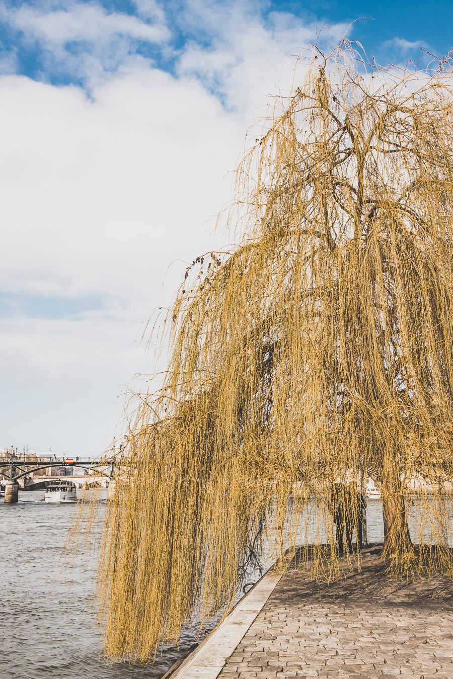 Que faire dans le 1er arrondissement de Paris ? Le Square du Vert galant, sur l'île de la Cité