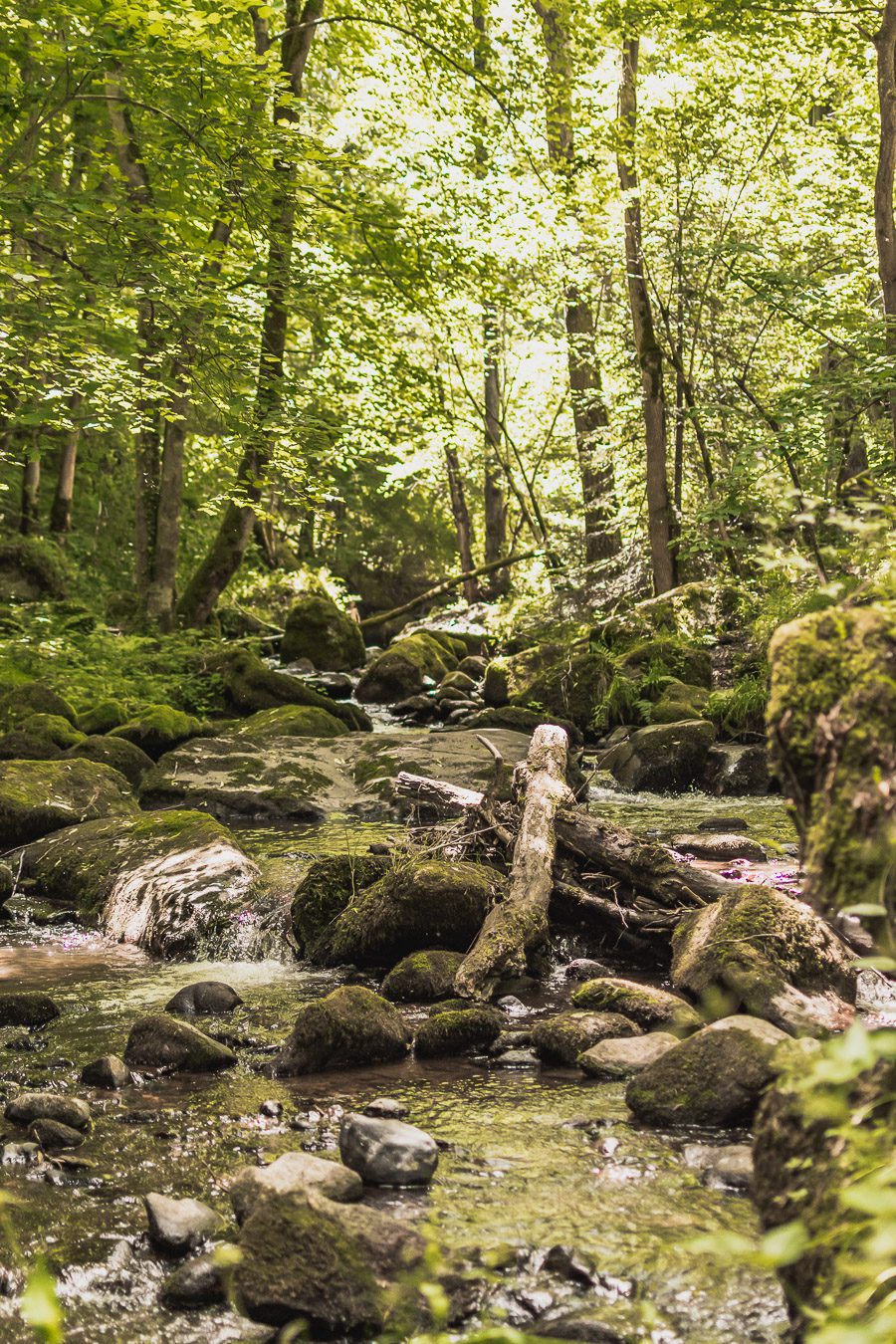 Vous vous demandez que voir autour de Clermont-Ferrand pour passer un week-end en Auvergne ? auvergne tourisme / Auvergne france / Auvergne rhone alpes / Auvergne-rhône-alpes / Auvergne frankrijk / Auvergne paysage / Vacances en France / Vacances plage / France paysage / Voyage en France / Voyage nature / Voyage en France / Destinations de voyages / Road trip France / Plus beaux villages de France / paysage / clermont ferrand aesthetic / puy de dome tourisme / volcans auvergne / randonnée