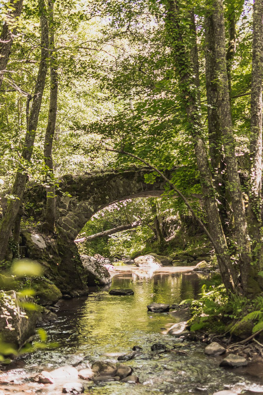 Gorges de la Monne