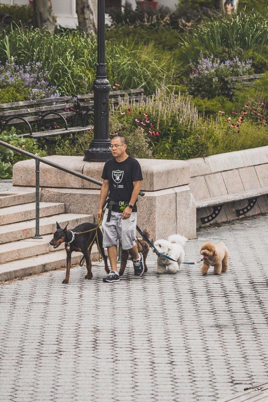 Battery Park