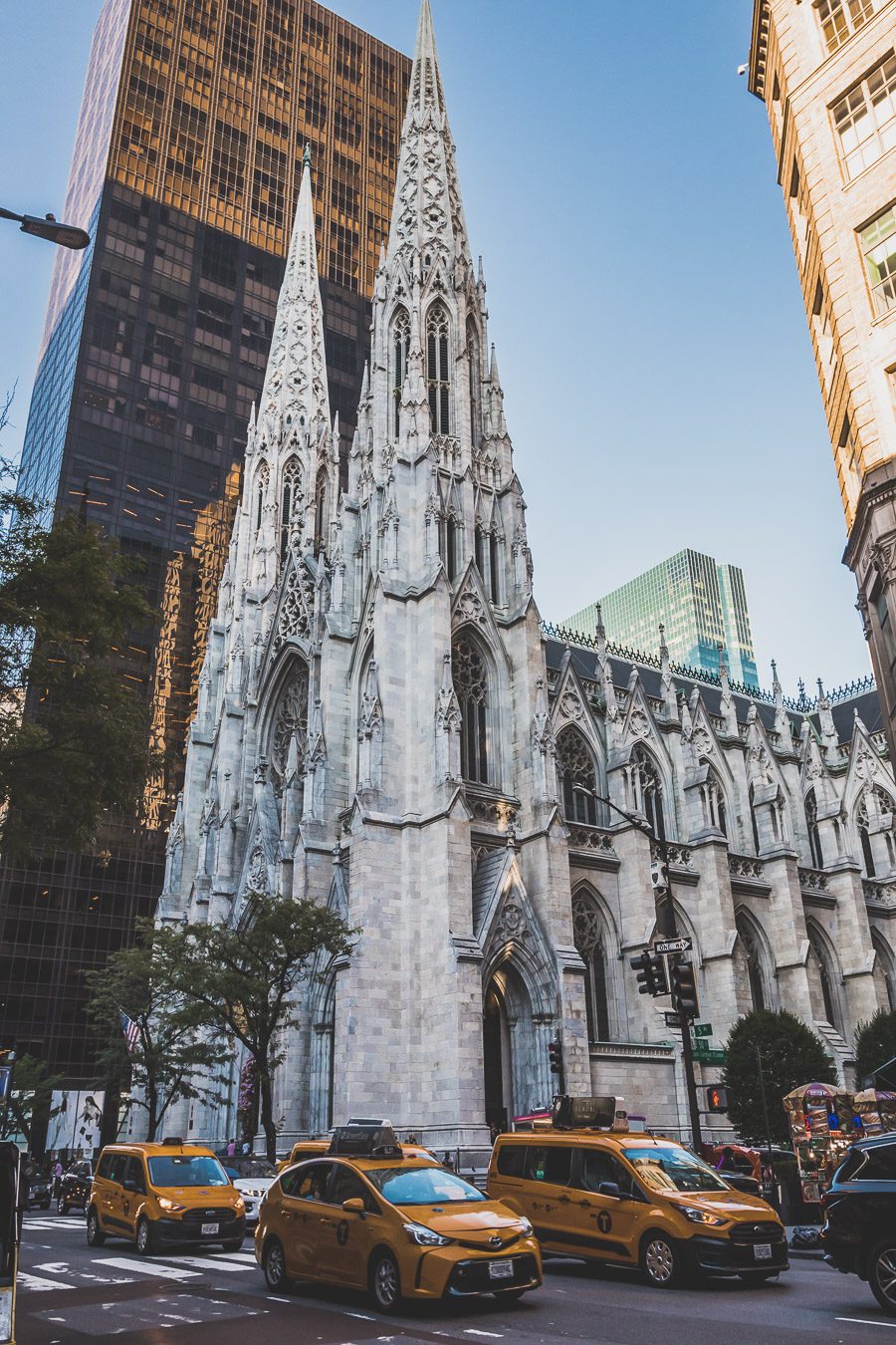 Cathédrale Saint-Patrick