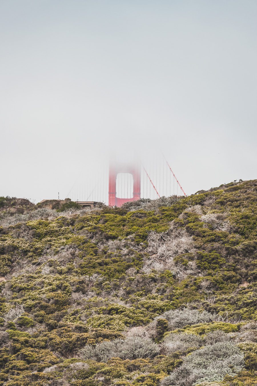 Presidio park coastal trail