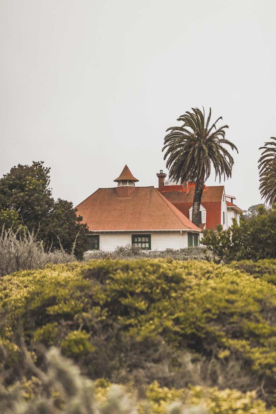 Crissy field