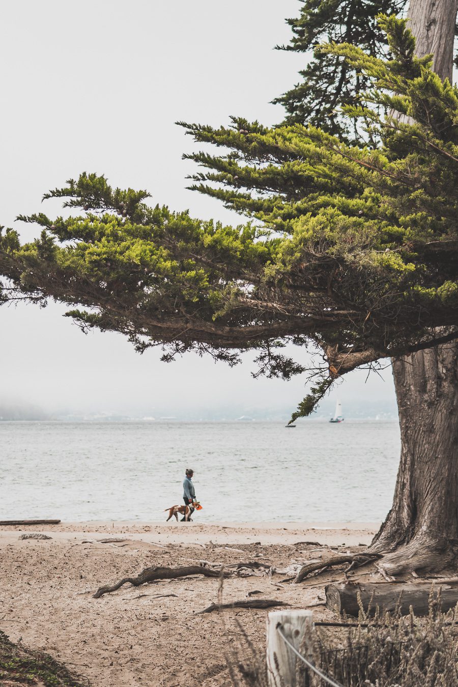 Crissy field east beach