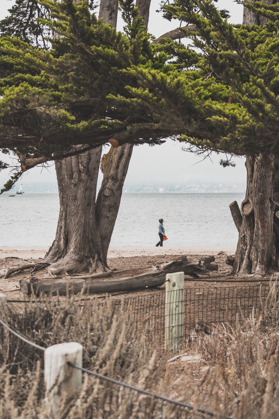 Crissy field east beach