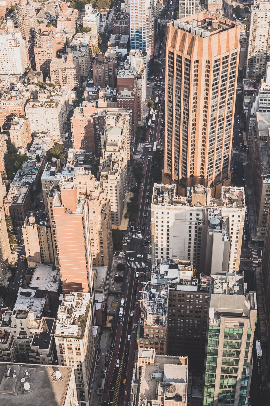 Vue depuis l'Empire State Building